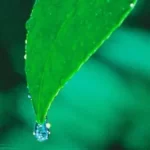 アイスターグループ：企業イメージ画像（水の輪）
