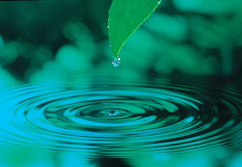 アイスターグループのシンボル画像、水の輪（グリーン）草の葉から一滴のしずくがこぼれ落ち水面に水の輪が広がっている。