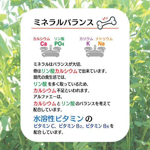アルファエーはカルシウムとリン酸のバランスを考えて配合しています。水溶性ビタミンのビタミンB2,B6,ビタミンCも配合、健康的なお肌をサポートします。